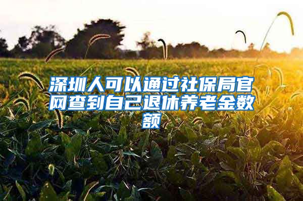 深圳人可以通过社保局官网查到自己退休养老金数额