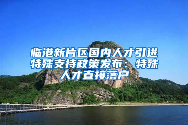 临港新片区国内人才引进特殊支持政策发布：特殊人才直接落户
