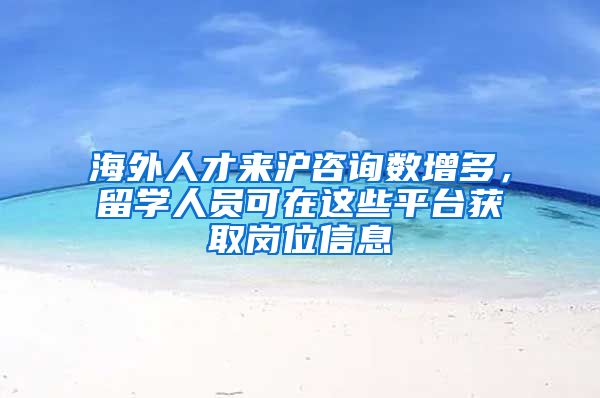 海外人才来沪咨询数增多，留学人员可在这些平台获取岗位信息