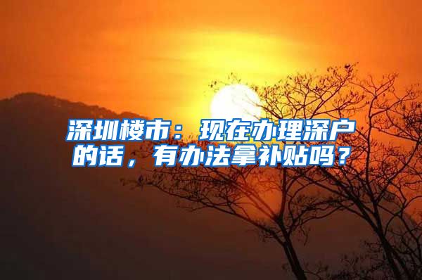 深圳楼市：现在办理深户的话，有办法拿补贴吗？