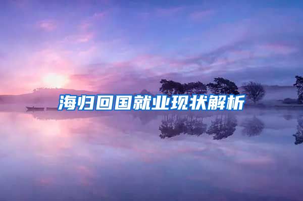 海归回国就业现状解析
