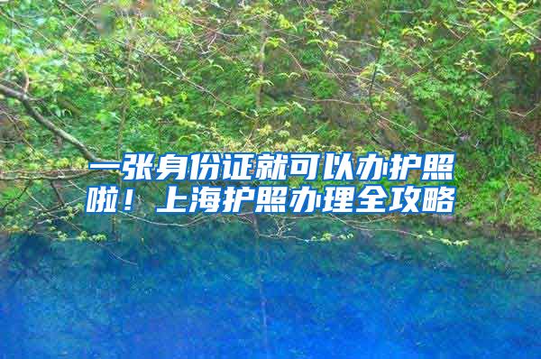 一张身份证就可以办护照啦！上海护照办理全攻略