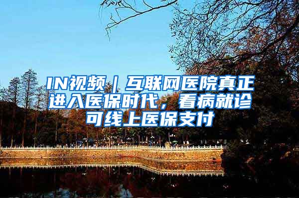 IN视频｜互联网医院真正进入医保时代，看病就诊可线上医保支付