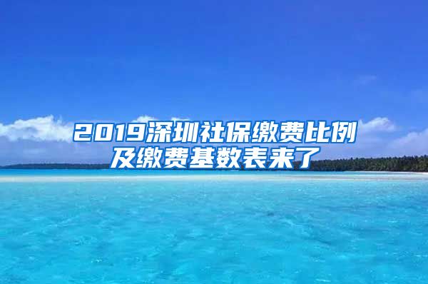 2019深圳社保缴费比例及缴费基数表来了
