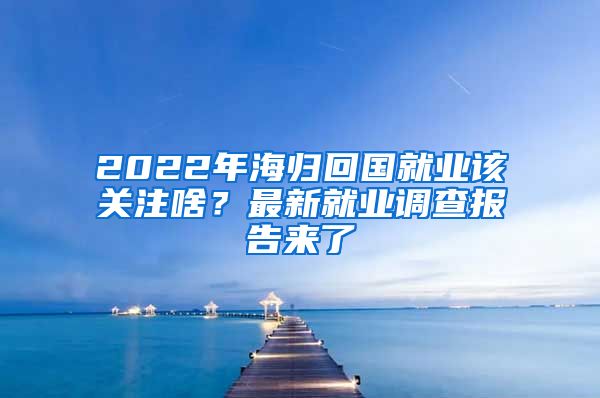 2022年海归回国就业该关注啥？最新就业调查报告来了