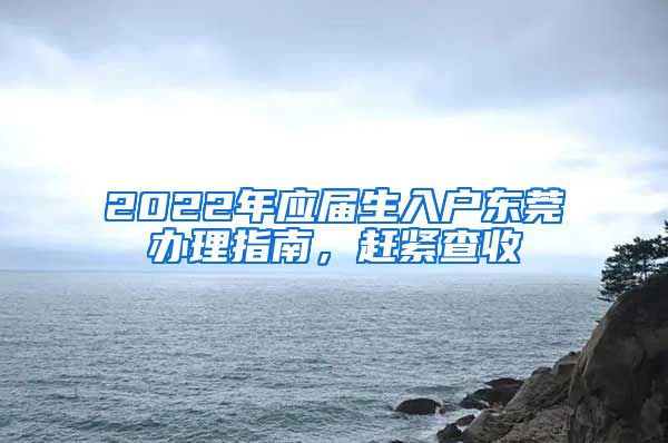 2022年应届生入户东莞办理指南，赶紧查收