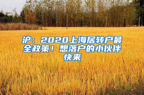 沪：2020上海居转户最全政策！想落户的小伙伴快来