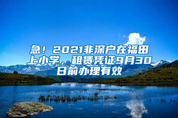 急！2021非深户在福田上小学，租赁凭证9月30日前办理有效