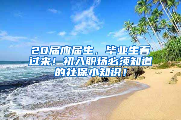 20届应届生、毕业生看过来！初入职场必须知道的社保小知识！