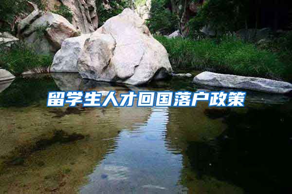 留学生人才回国落户政策