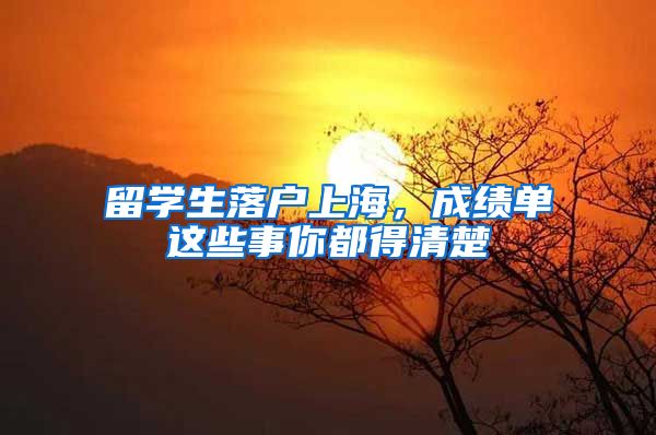 留学生落户上海，成绩单这些事你都得清楚