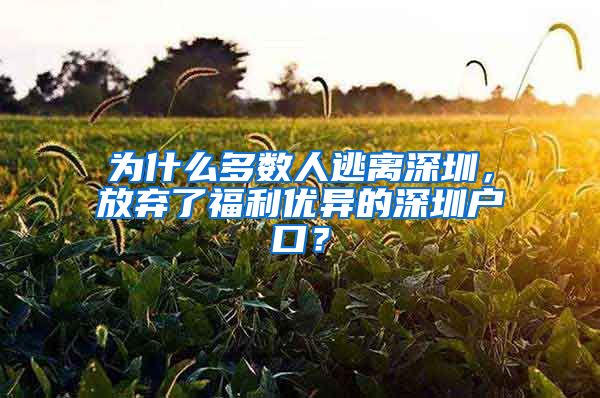 为什么多数人逃离深圳，放弃了福利优异的深圳户口？