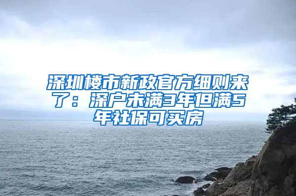 深圳楼市新政官方细则来了：深户未满3年但满5年社保可买房