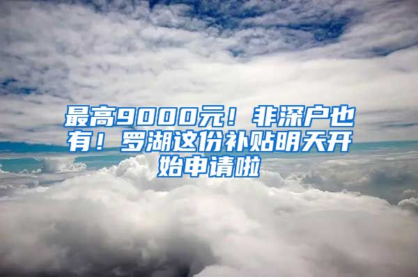 最高9000元！非深户也有！罗湖这份补贴明天开始申请啦