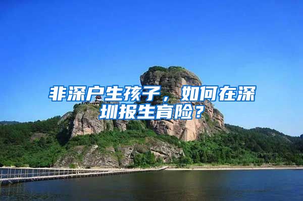 非深户生孩子，如何在深圳报生育险？