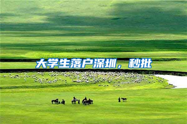 大学生落户深圳，秒批