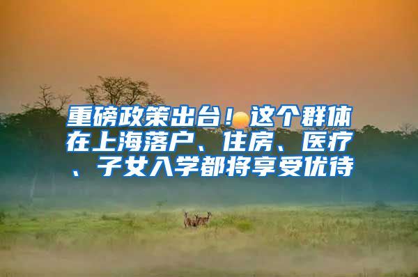 重磅政策出台！这个群体在上海落户、住房、医疗、子女入学都将享受优待