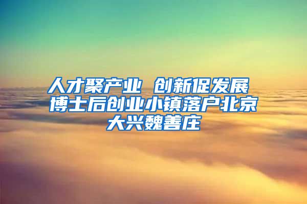 人才聚产业 创新促发展 博士后创业小镇落户北京大兴魏善庄