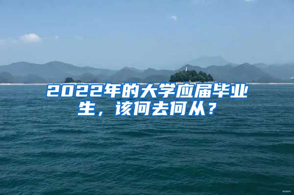 2022年的大学应届毕业生，该何去何从？