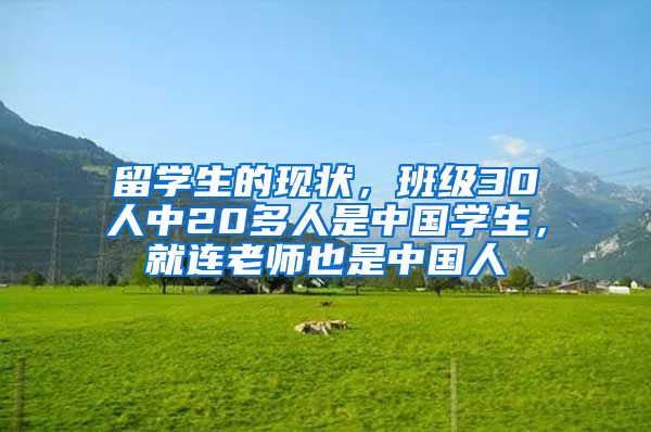 留学生的现状，班级30人中20多人是中国学生，就连老师也是中国人