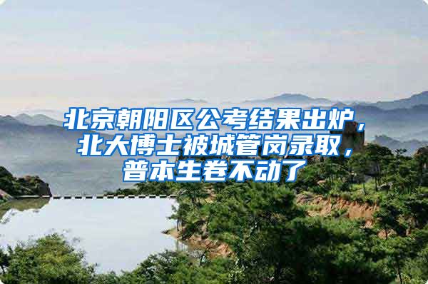 北京朝阳区公考结果出炉，北大博士被城管岗录取，普本生卷不动了