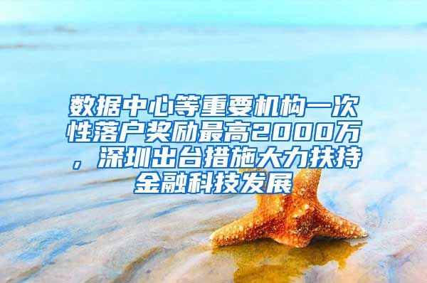 数据中心等重要机构一次性落户奖励最高2000万，深圳出台措施大力扶持金融科技发展