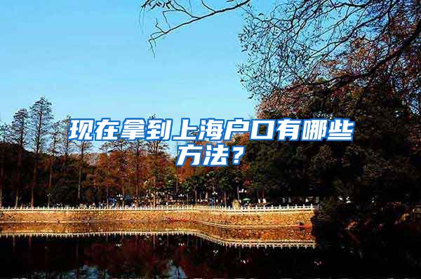 现在拿到上海户口有哪些方法？