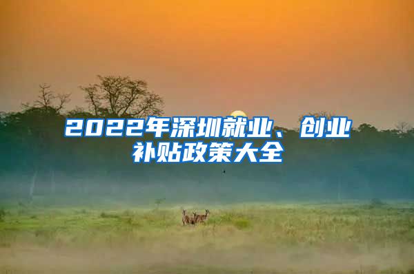 2022年深圳就业、创业补贴政策大全