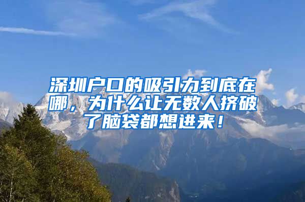 深圳户口的吸引力到底在哪，为什么让无数人挤破了脑袋都想进来！