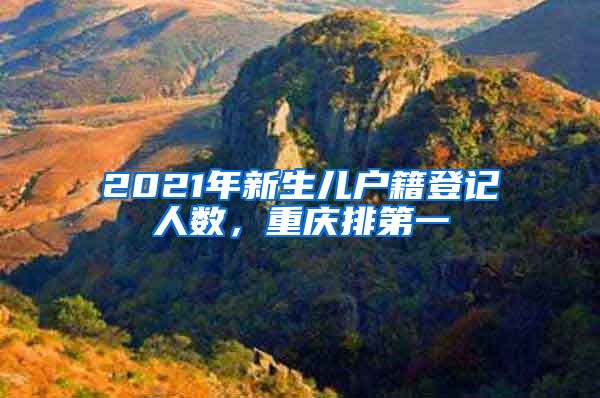 2021年新生儿户籍登记人数，重庆排第一