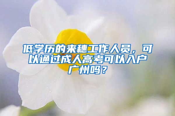 低学历的来穗工作人员，可以通过成人高考可以入户广州吗？
