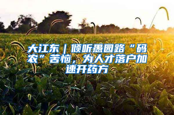 大江东｜倾听愚园路“码农”苦恼，为人才落户加速开药方