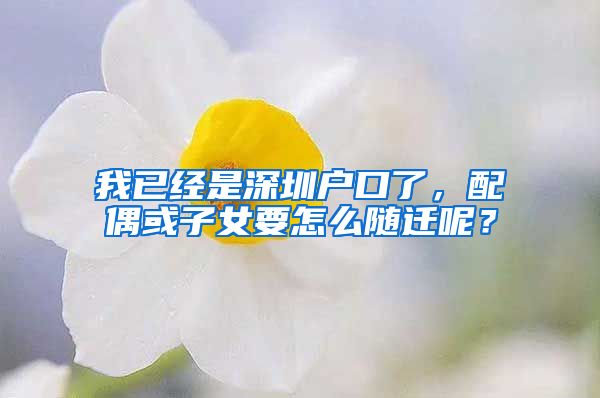 我已经是深圳户口了，配偶或子女要怎么随迁呢？