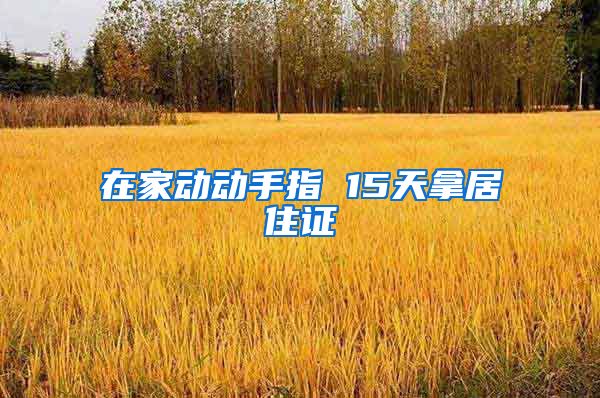 在家动动手指 15天拿居住证