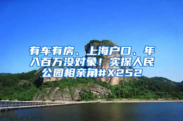 有车有房、上海户口、年入百万没对象！实探人民公园相亲角#X252