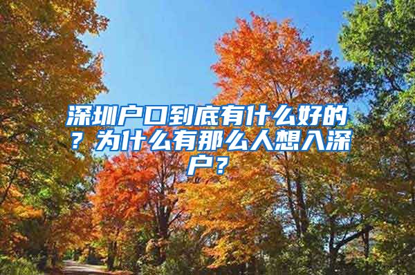 深圳户口到底有什么好的？为什么有那么人想入深户？