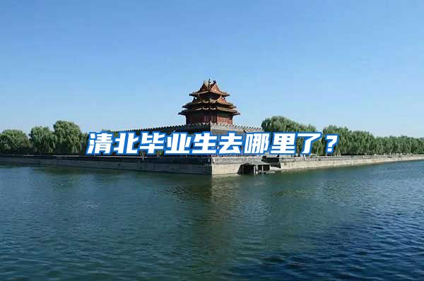 清北毕业生去哪里了？