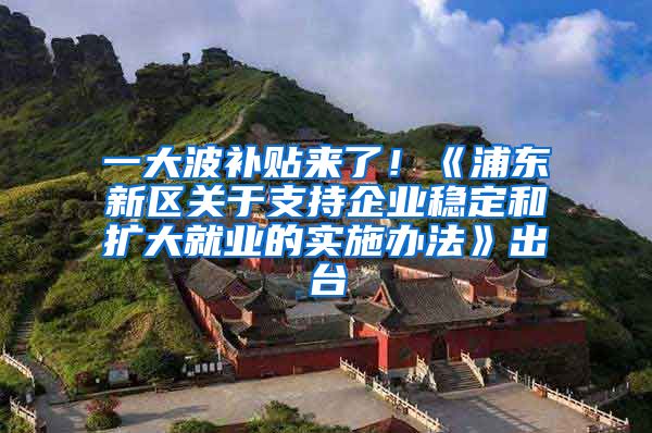 一大波补贴来了！《浦东新区关于支持企业稳定和扩大就业的实施办法》出台