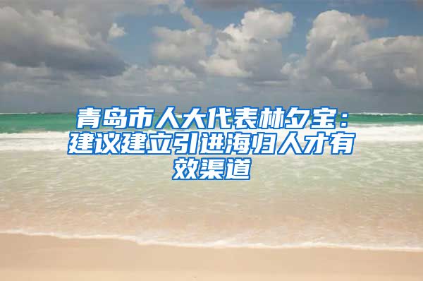 青岛市人大代表林夕宝：建议建立引进海归人才有效渠道