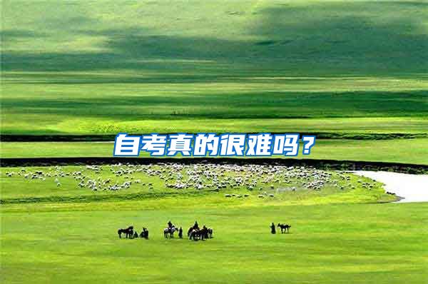 自考真的很难吗？