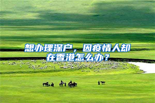 想办理深户，因疫情人却在香港怎么办？
