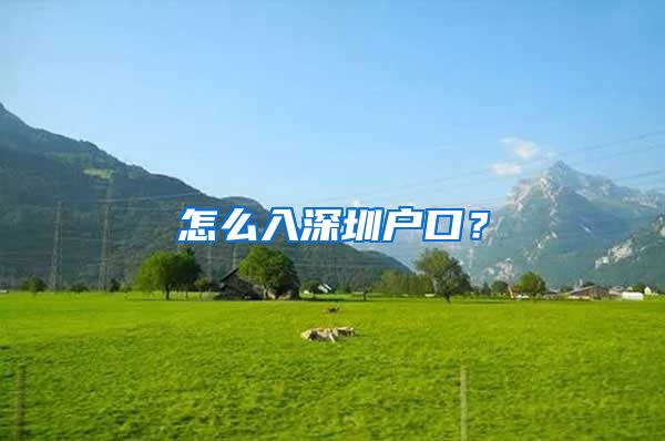 怎么入深圳户口？