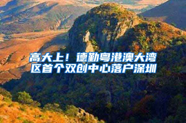 高大上！德勤粤港澳大湾区首个双创中心落户深圳
