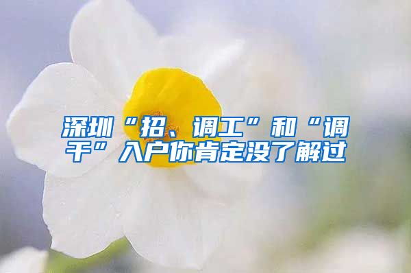 深圳“招、调工”和“调干”入户你肯定没了解过
