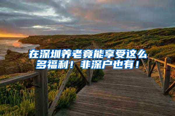 在深圳养老竟能享受这么多福利！非深户也有！