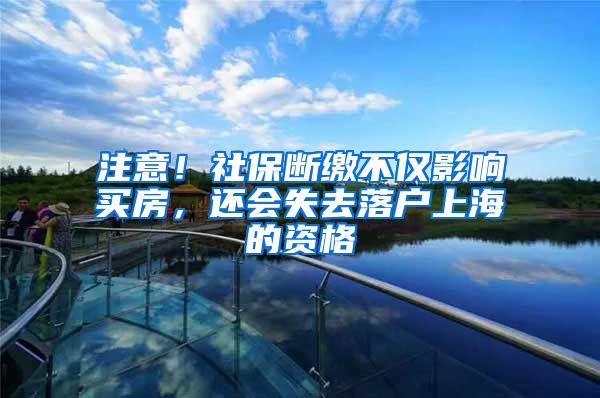 注意！社保断缴不仅影响买房，还会失去落户上海的资格
