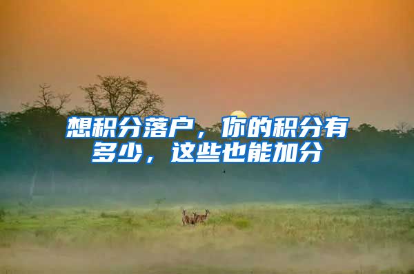 想积分落户，你的积分有多少，这些也能加分