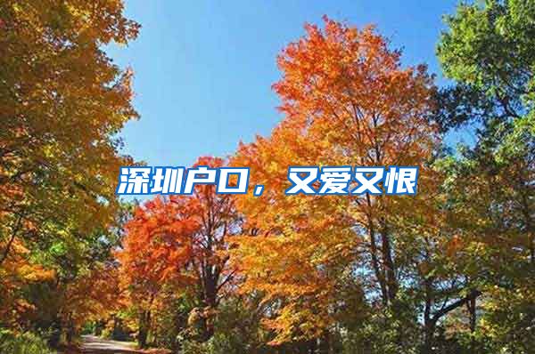 深圳户口，又爱又恨