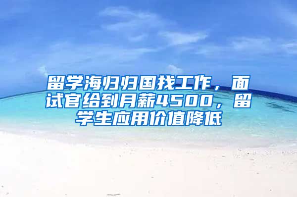 留学海归归国找工作，面试官给到月薪4500，留学生应用价值降低