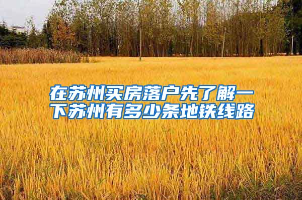 在苏州买房落户先了解一下苏州有多少条地铁线路